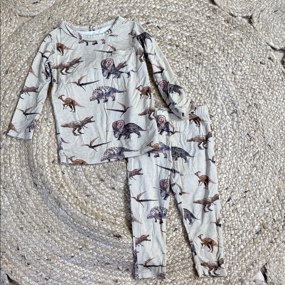 Posh Peanut Cream and Brown Pajama Sets with Dinosaue Print